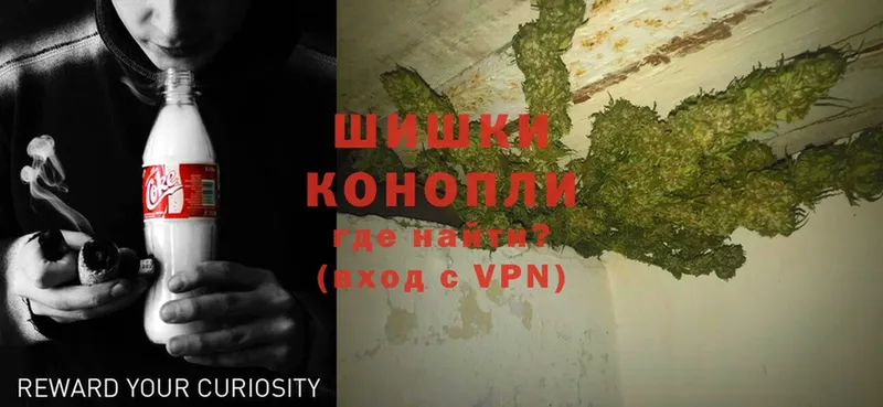 Каннабис White Widow  Борзя 